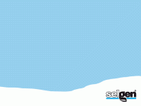 selgen-pf2017.gif
