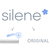silene-01.png